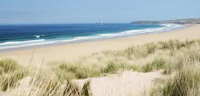 Trevithick by the beach for families & the pooch